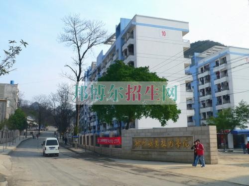 柳州職業(yè)技術(shù)學(xué)院招生辦聯(lián)系電話(huà)