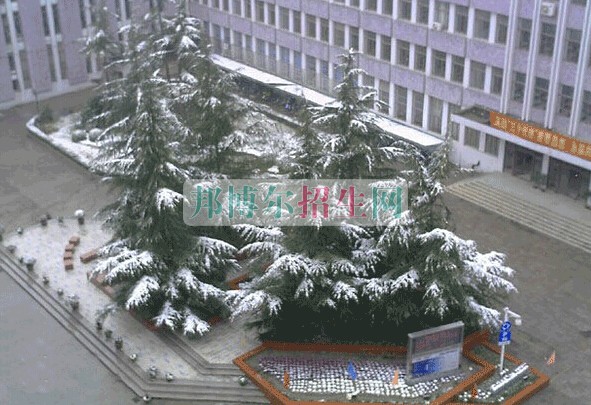 上海醫(yī)療器械高等?？茖W(xué)校
