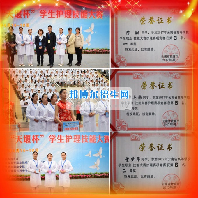 云南新興職業(yè)學院學生參加2017年全國、全省技能大賽斬獲佳績