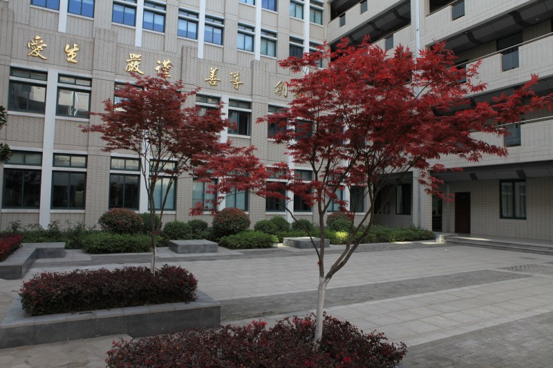南京衛(wèi)生高等職業(yè)技術(shù)學(xué)校怎么樣、好不好