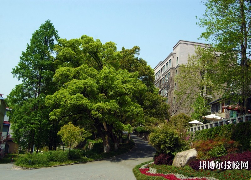 中國美術學院附屬中等美術學校2020年報名條件、招生要求、招生對象