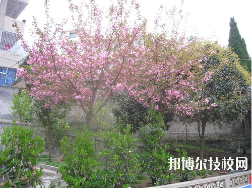 嵐皋縣中等職業(yè)技術(shù)學(xué)校2020年報(bào)名條件、招生要求、招生對(duì)象