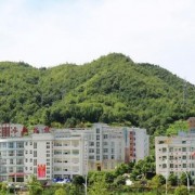 水城職業(yè)技術(shù)學校