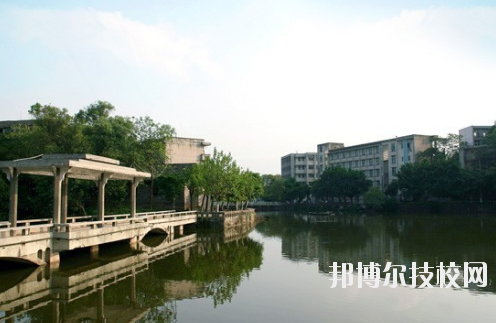 重慶紅春藤技工學校2020年報名條件、招生要求、招生對象