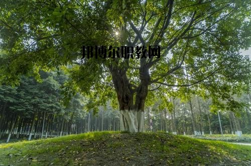 四川檔案學(xué)校2020年報名條件、招生要求、招生對象
