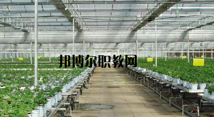 隴南農(nóng)業(yè)學(xué)校怎么樣、好不好