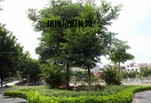 羅定中等職業(yè)技術(shù)學(xué)校怎么樣、好不好