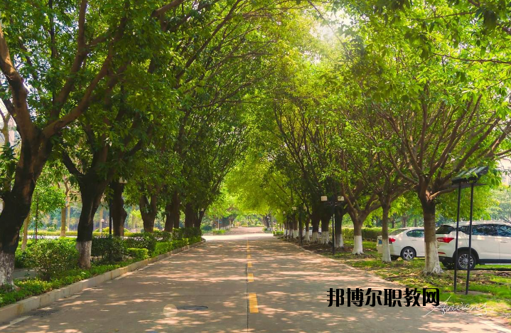 河南團(tuán)校2021年報(bào)名條件、招生要求、招生對(duì)象
