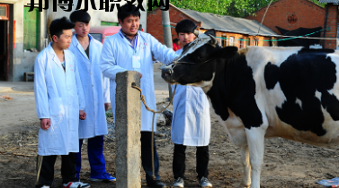 甘南畜牧學(xué)校2020年學(xué)費(fèi)、收費(fèi)多少