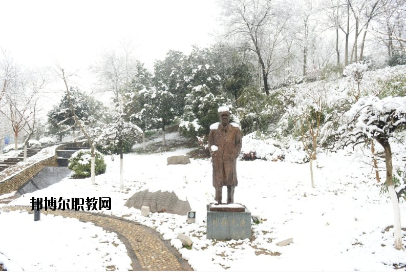 南京工業(yè)大學(xué)2020年報名條件、招生要求、招生對象