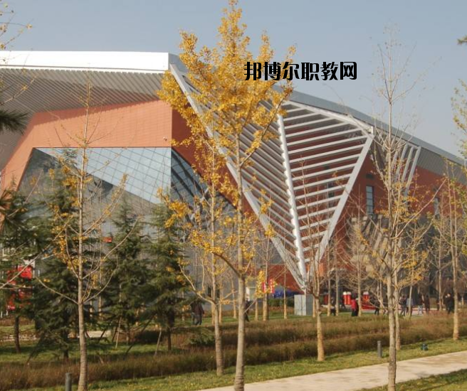 宜昌體育運動學校怎么樣、好不好