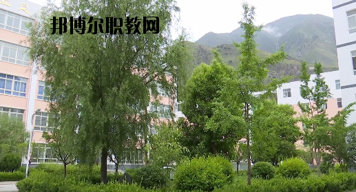 文縣職業(yè)技術(shù)學(xué)校2020年報名條件、招生要求、招生對象
