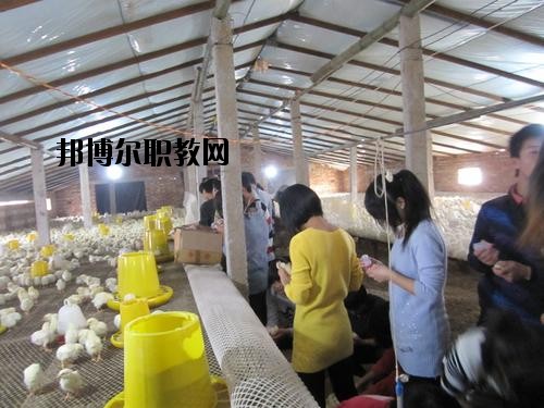 通許中等職業(yè)學(xué)校2021年學(xué)費(fèi)、收費(fèi)多少