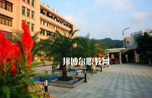 廣東省林業(yè)職業(yè)技術(shù)學(xué)校2020年報名條件、招生要求、招生對象