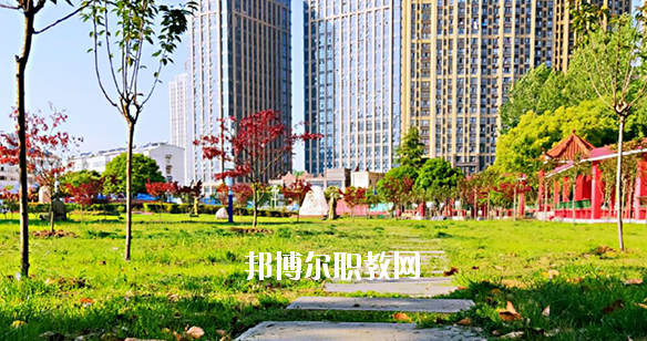 合肥飛躍學(xué)校2020年報(bào)名條件、招生要求、招生對(duì)象 