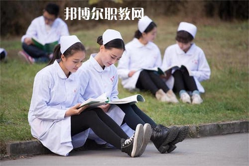成都2021年衛(wèi)校和幼師哪個好