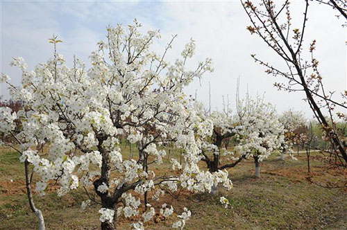 宿遷高等師范學(xué)校怎么樣、好不好