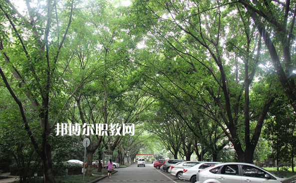 重慶2021年中專學(xué)?？梢钥即髮W(xué)嗎