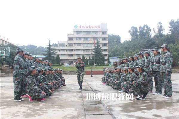 云南林業(yè)高級技工學(xué)校2021年學(xué)費(fèi)、收費(fèi)多少