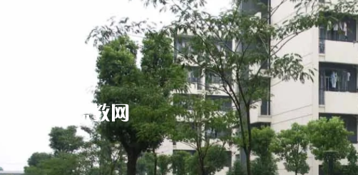 安徽工商行政管理學(xué)校怎么樣、好不好