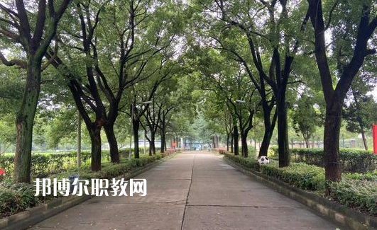 武漢江南技術學校網(wǎng)站網(wǎng)址