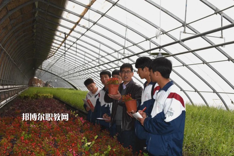 靖遠(yuǎn)職業(yè)教育中心2022年學(xué)費(fèi)、收費(fèi)多少