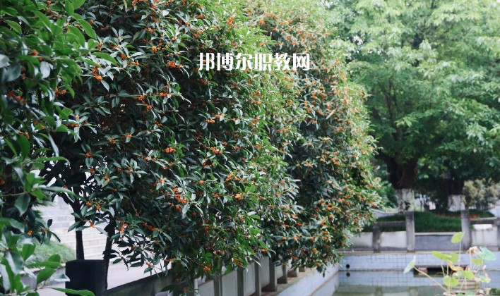 德陽通用電子科技學(xué)校怎么樣、好不好