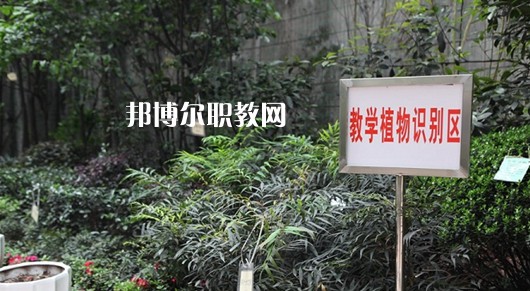 重慶風景園林技工學校2022年學費、收費多少