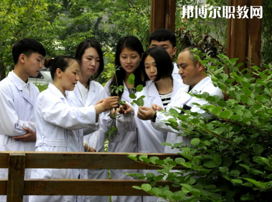 連云港中醫(yī)藥高等職業(yè)技術(shù)學(xué)校2022年報(bào)名條件、招生要求、招生對(duì)象