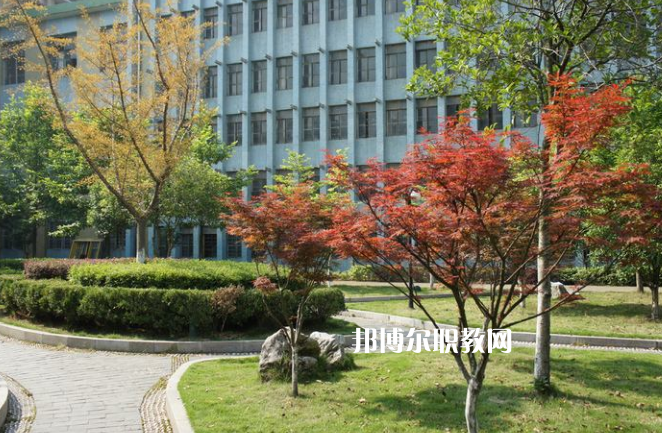 廉江市衛(wèi)生職業(yè)技術(shù)學(xué)校怎么樣、好不好