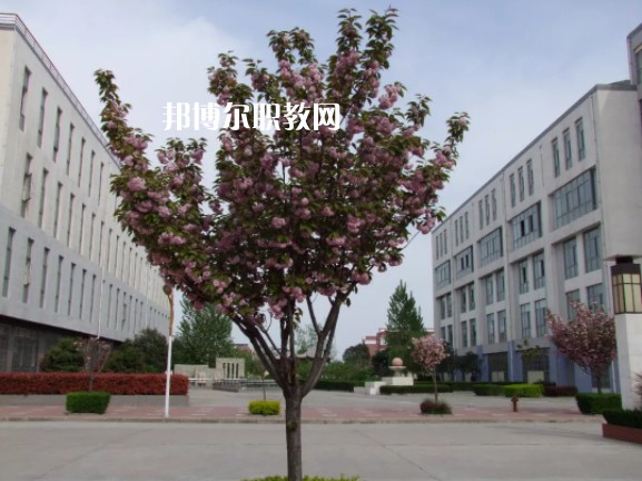 陳倉區(qū)職業(yè)教育中心2022年報(bào)名條件、招生要求、招生對象