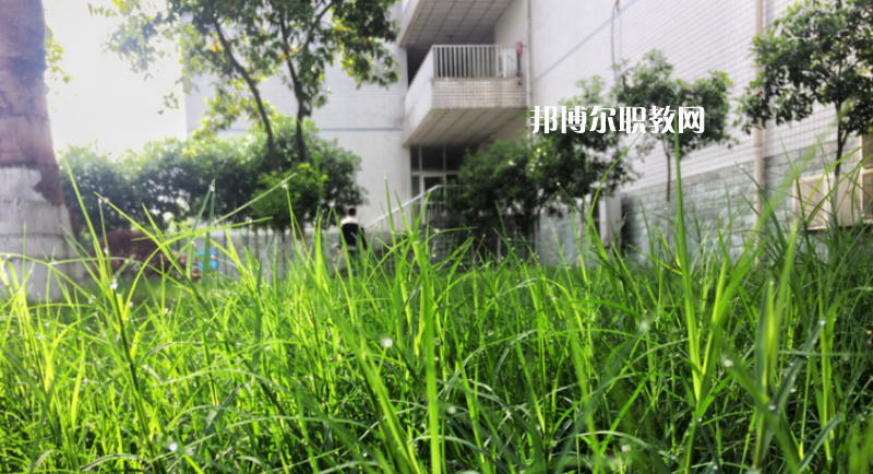 樂(lè)山計(jì)算機(jī)學(xué)校2022年學(xué)費(fèi)、收費(fèi)多少