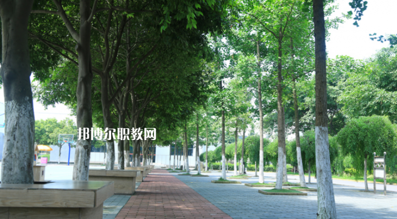 樂山計(jì)算機(jī)學(xué)校怎么樣、好不好