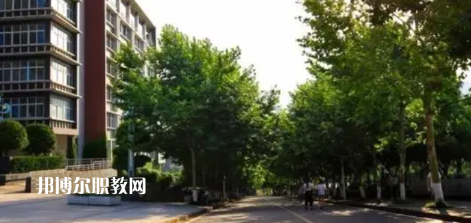 重慶醫(yī)藥高等?？茖W(xué)校好不好_2023年有單招嗎