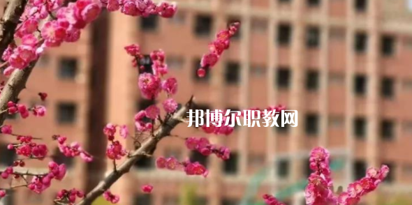 2023眉山東星航空職業(yè)學(xué)校多少錢(學(xué)費明細)