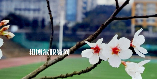 2023眉山技師學院招生計劃 招生人數(shù)是多少(附要求、條件、對象)