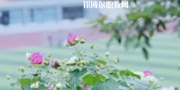 眉山技師學(xué)院地址在哪里，哪個(gè)地區(qū)，哪個(gè)城市?