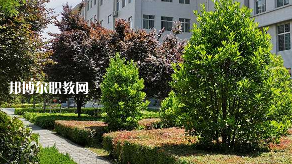 2023渭南技師學(xué)院招生計(jì)劃 招生人數(shù)是多少(附要求、條件、對(duì)象)