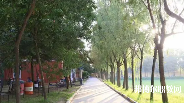 2023西安大中科技技工學(xué)校招生計劃 招生人數(shù)是多少(附要求、條件、對象)