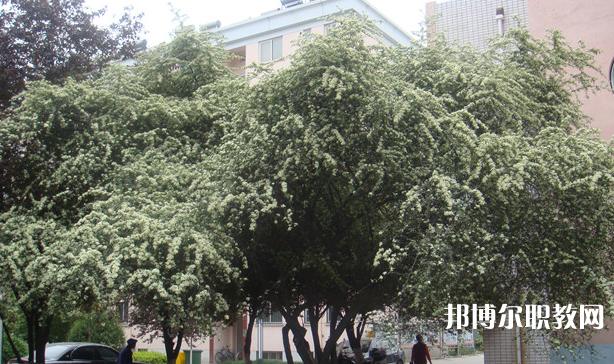 寶雞技師學院地址，乘車路線