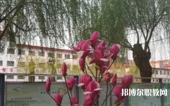 2023柏鄉(xiāng)縣職教中心招生計劃 招生人數(shù)是多少(附要求、條件、對象)