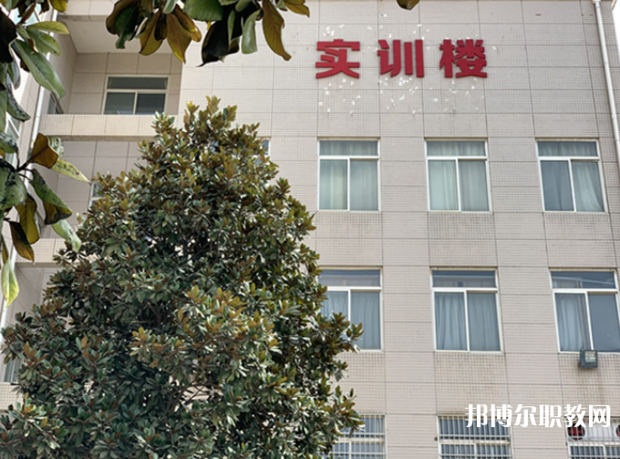 陜西2024年上中專需要什么條件