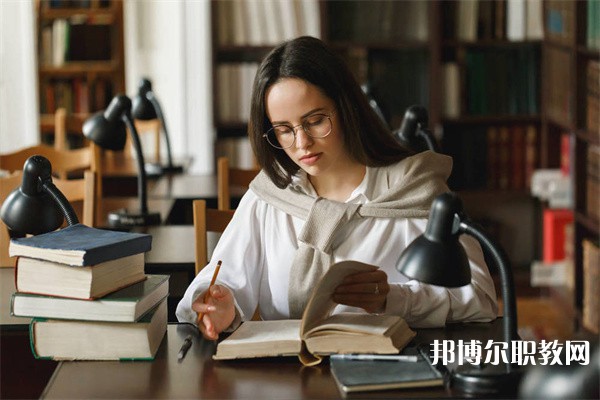 廣西哪里的職業(yè)學校能讀航空地勤(地勤、票務方向)專業(yè)