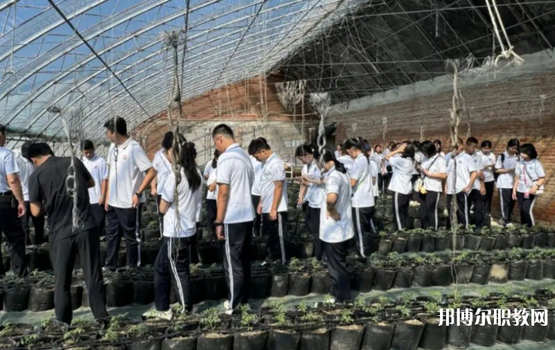 2024營口市農業(yè)工程學校招生計劃 招生人數是多少(附要求、條件、對象)
