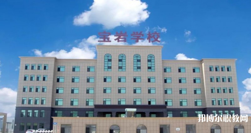 2025沈陽寶巖藝術(shù)學(xué)校招生計劃 招生人數(shù)是多少(附要求、條件、對象)