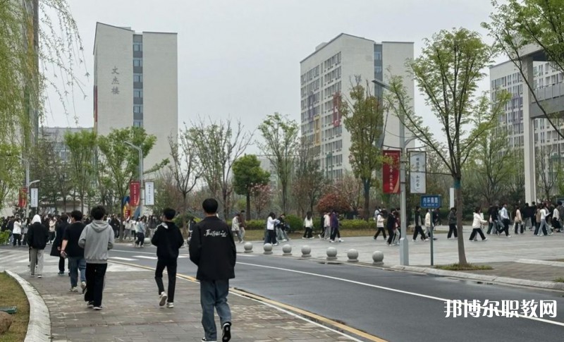 2025合肥技師學(xué)院招生計劃 招生人數(shù)是多少(附要求、條件、對象)
